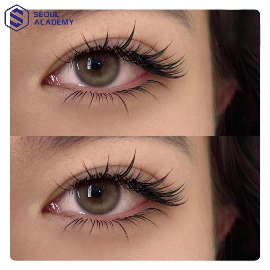 Để duy trì được hiệu quả mi nối lâu dài, bạn cần dặm mi thường xuyên