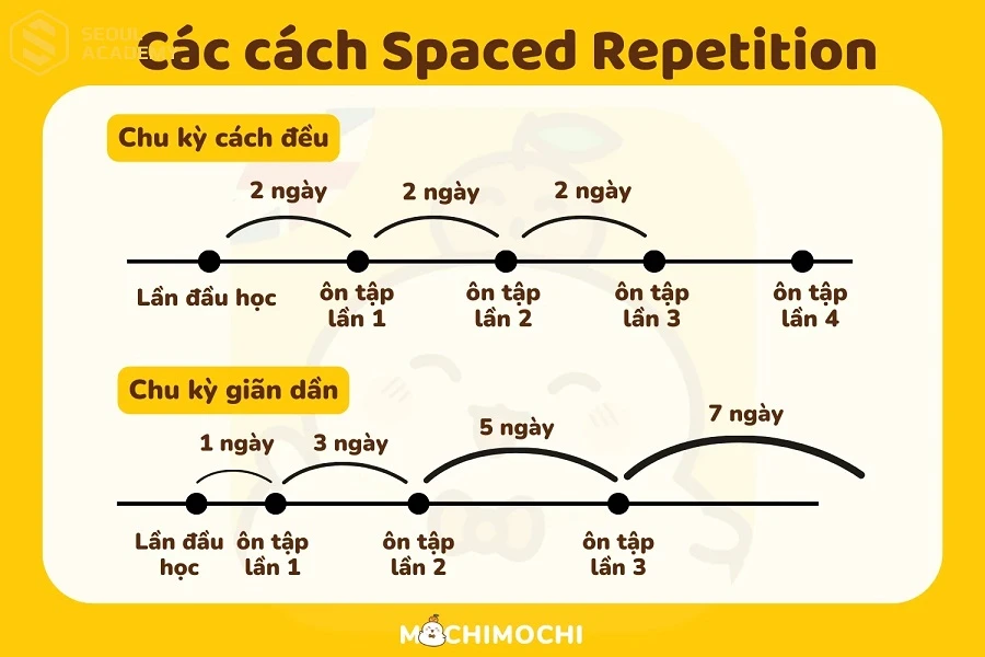 Ôn tập ngắt quãng là cách giúp bạn nhớ lâu