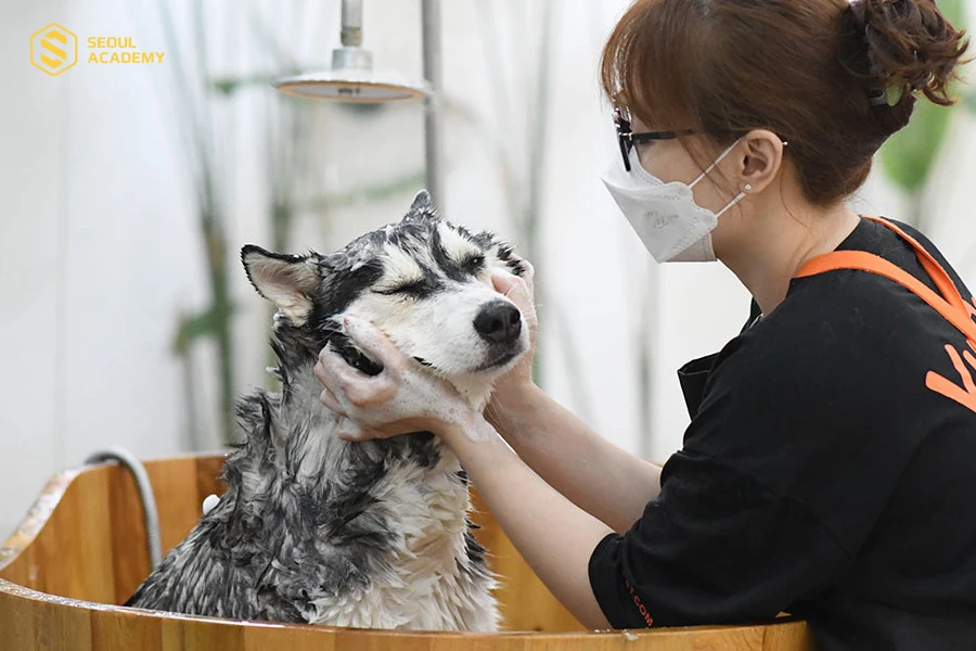 Học viên được trang bị đầy đủ các kỹ thuật cắt tỉa lông chuyên nghiệp