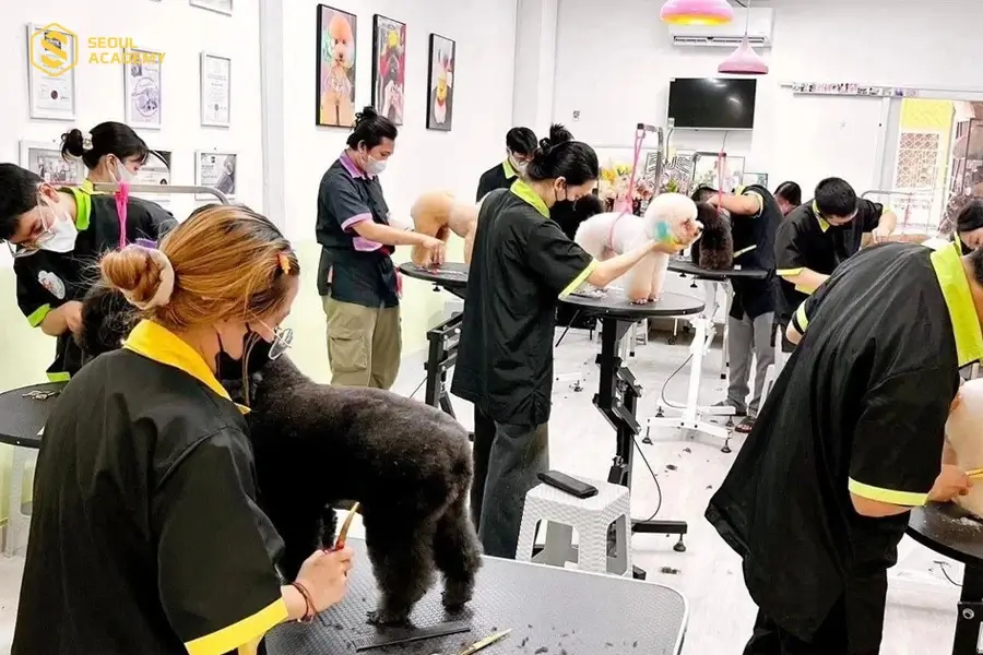 Nắm rõ những kinh nghiệm cần thiết để lựa chọn trung tâm uy tín khi theo học