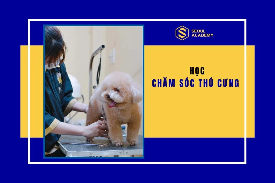Học chăm sóc thú cưng