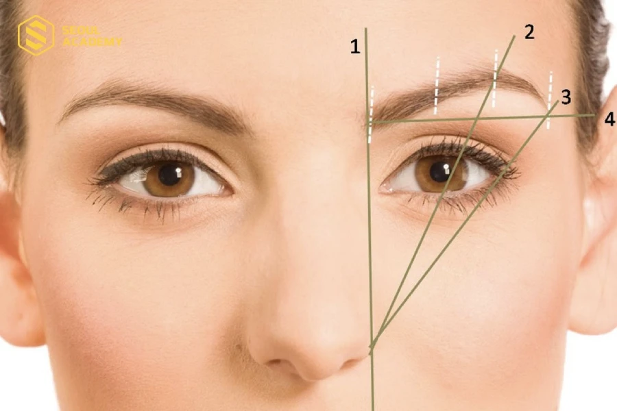 Học viên tìm hiểu về các dáng mày tốt và xấu theo phong thuỷ