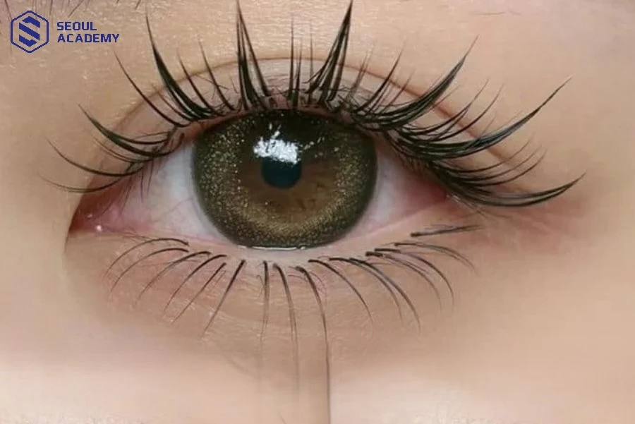 Nối mi bé sở hữu nhiều ưu điểm vượt trội