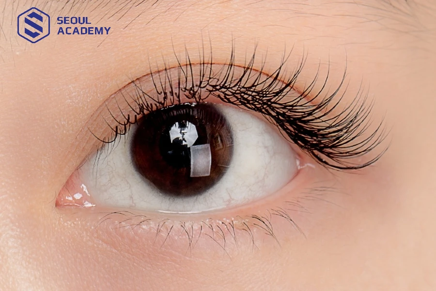 Sau khi nối mi one by one, người thợ sẽ tư vấn và hướng dẫn cách chăm sóc cho khách hàng của mình