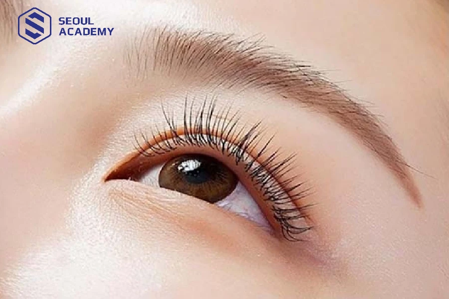 Sau khi nối mi one by one muốn hàng mi bền phải chăm sóc kỹ lưỡng và tỉ mỉ