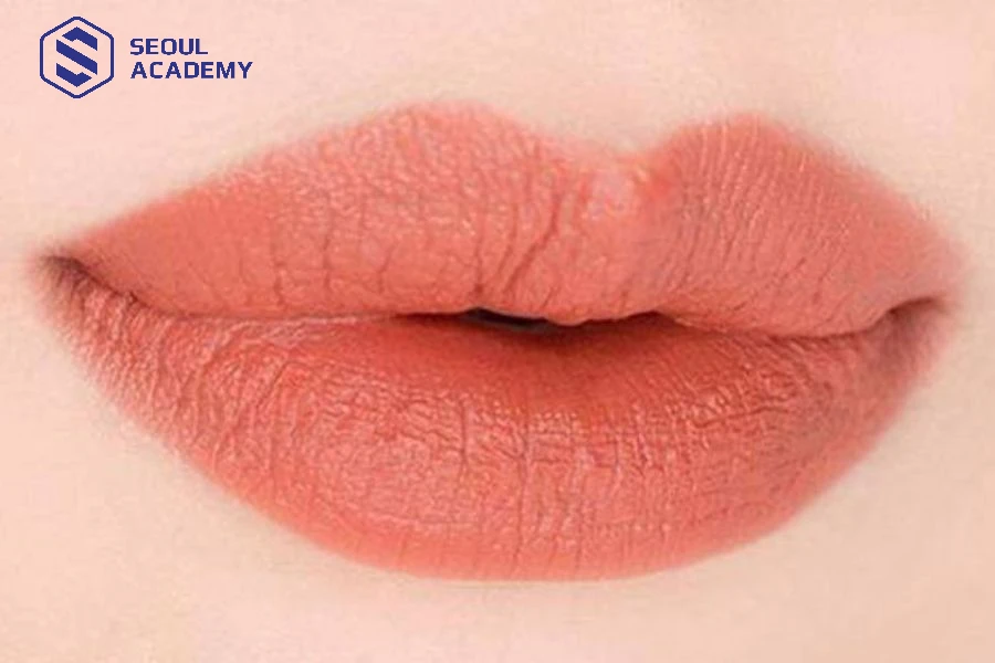 Màu hồng đất là màu phun môi được ưa chuộng