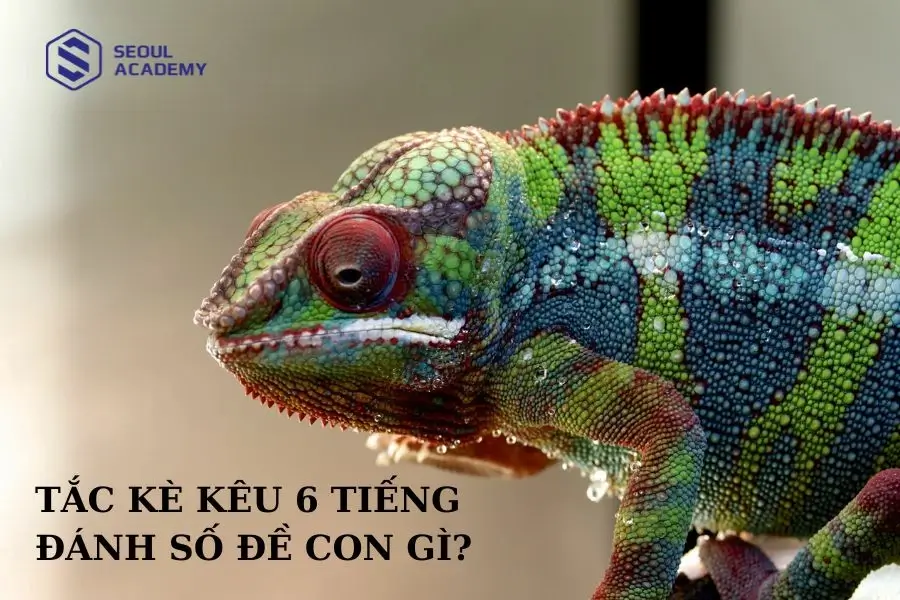 Tắc kè kêu đánh số đề con gì?