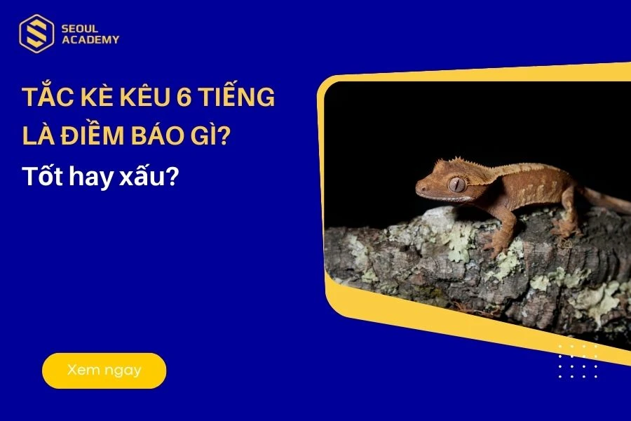 Tắc kè kêu 6 tiếng là điềm báo gì?