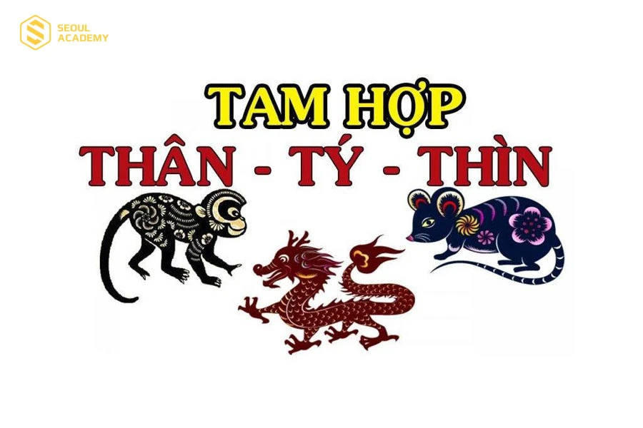 Người tuổi Tý hợp với người tuổi Thìn và tuổi Thân theo nhóm tam hợp