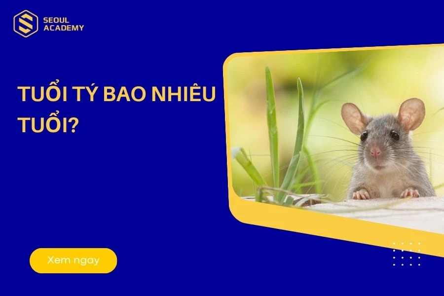 Tuổi tý bao nhiêu tuổi