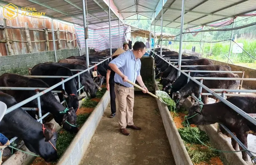 Tránh mắc phải những sai lầm kinh điển khi kinh doanh tại nông thôn