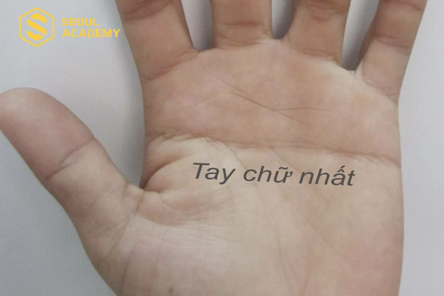 Kiểu bàn tay chữ nhất với hai đường chỉ tay nổi bật