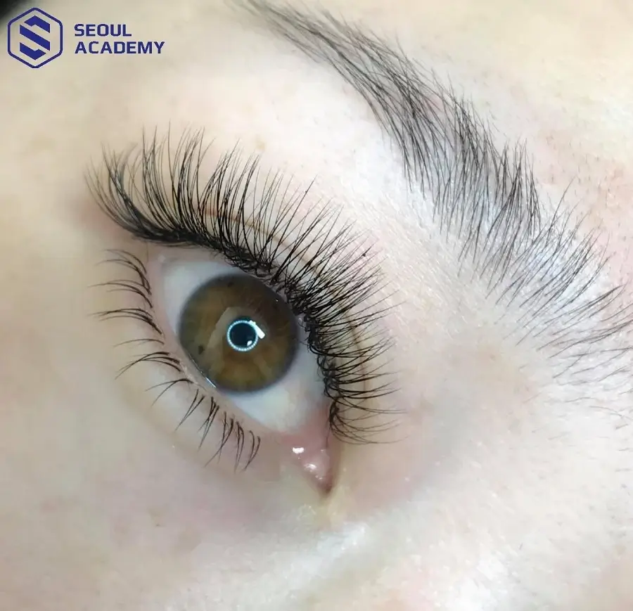 Nối mi lụa thiên về việc sử dụng chất liệu hơn là kiểu dáng