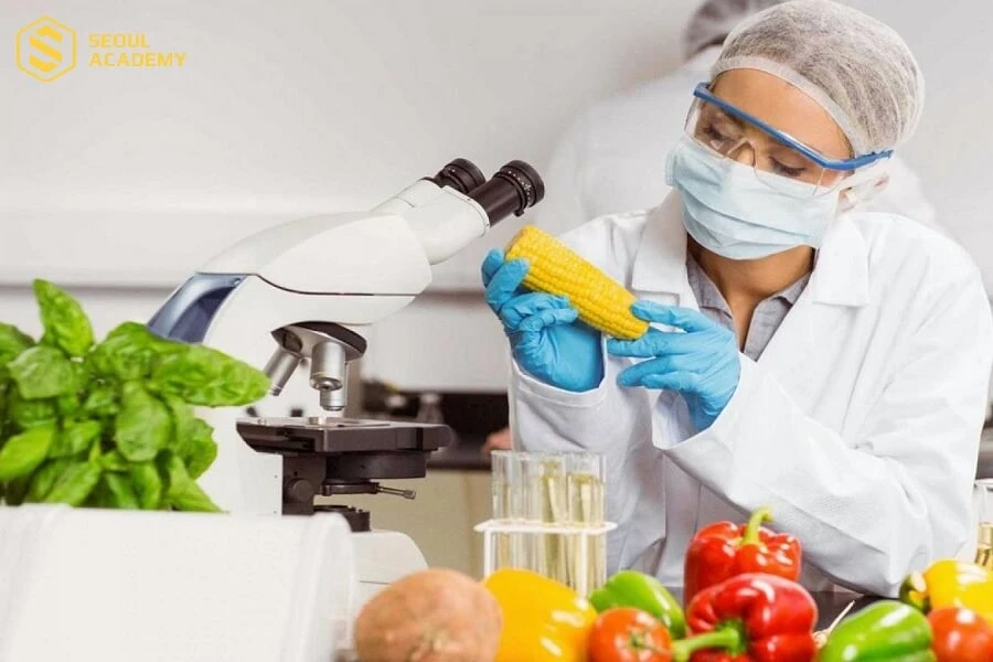 Công nghệ thực phẩm là lĩnh vực có nhiều tiềm năng phát triển hiện nay nên có nhu cầu lớn về nguồn nhân lực