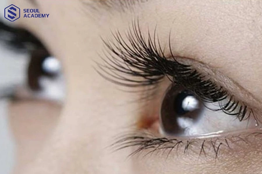 Kết hợp vaseline cùng vitamin E giúp mi dày và cong hơn