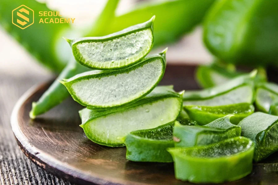 Nha đam giúp các bạn giảm bớt gánh nặng về chi phí