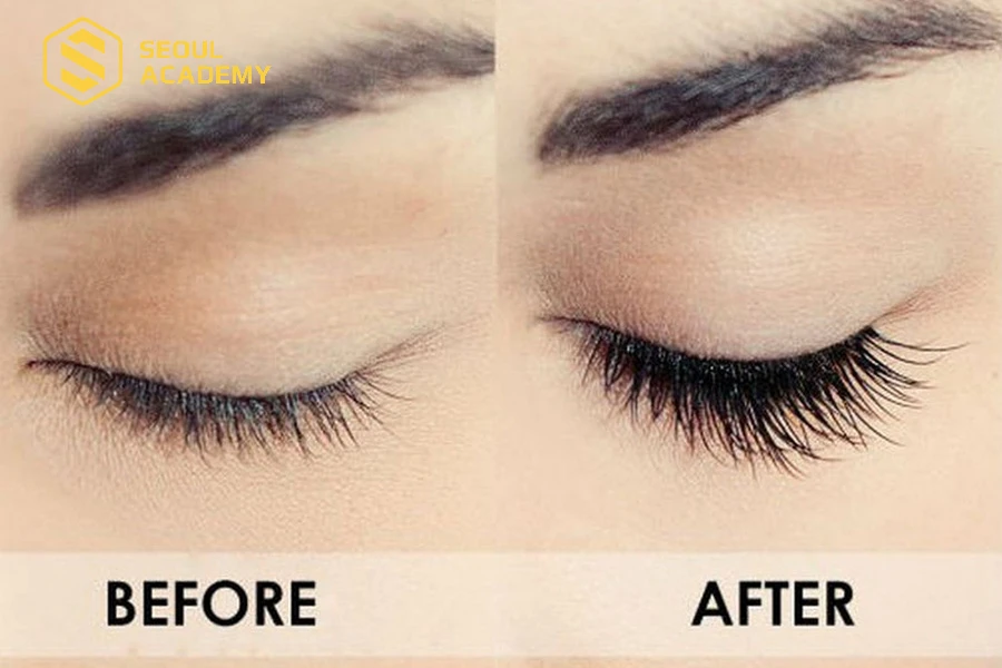 Kết quả 2 tuần dùng nha đam cùng nguyên liệu tự nhiên để dưỡng mi mỗi ngày