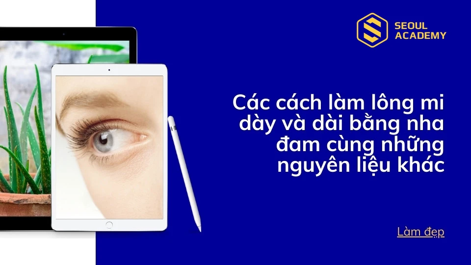 Chi tiết cách làm lông mi dày và dài tự nhiên bằng nha đam