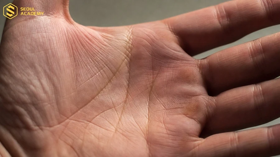 Những người sở hữu đường vân chữ thập trong lòng bàn tay thường có sự nhạy bén, thông minh