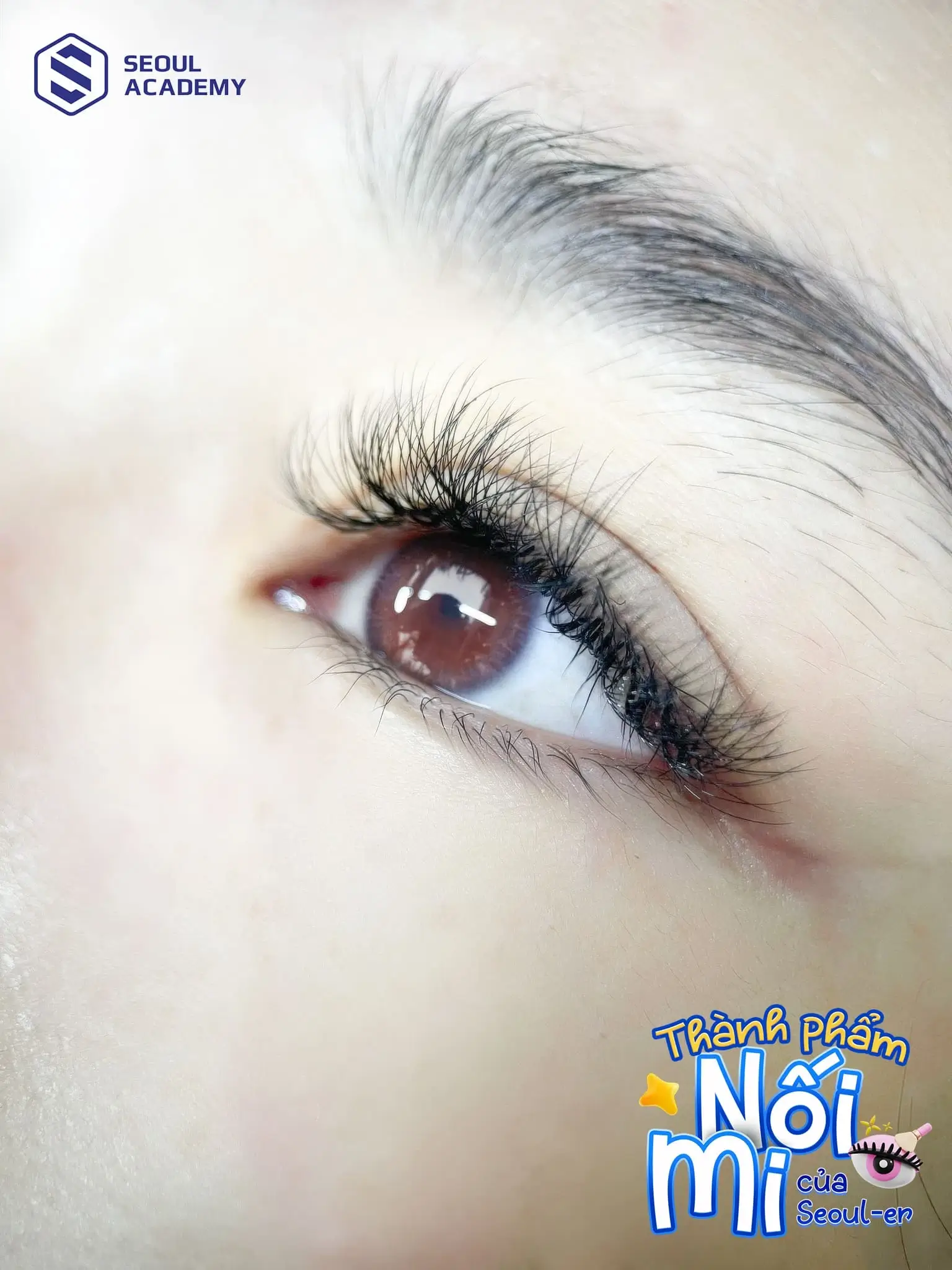 Thành phẩm nối mi nổi bật của học viên tại Seoul Academy