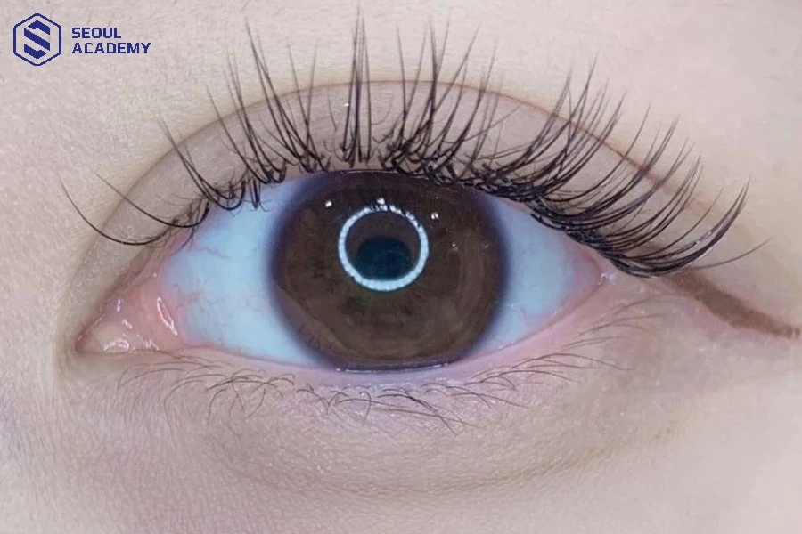 Mi lông chồn là kỹ thuật nối mi hiện đại mang đến vẻ đẹp tự nhiên cho đôi mắt