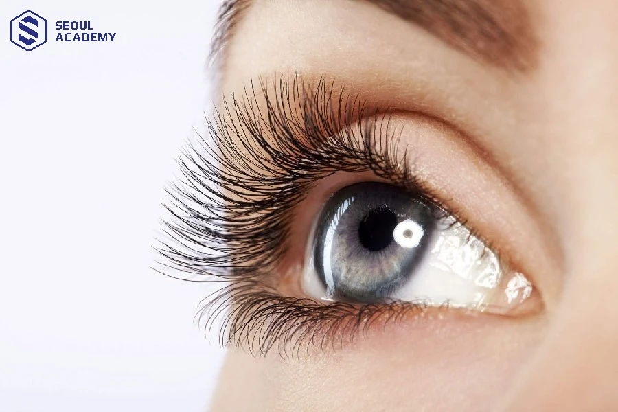 Nối mi chồn giá bao nhiêu phụ thuộc vào nhiều yếu tố khác nhau