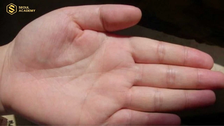 Đường chỉ tay được đánh giá xấu khi sở hữu các đường nét lộn xộn, không rõ ràng