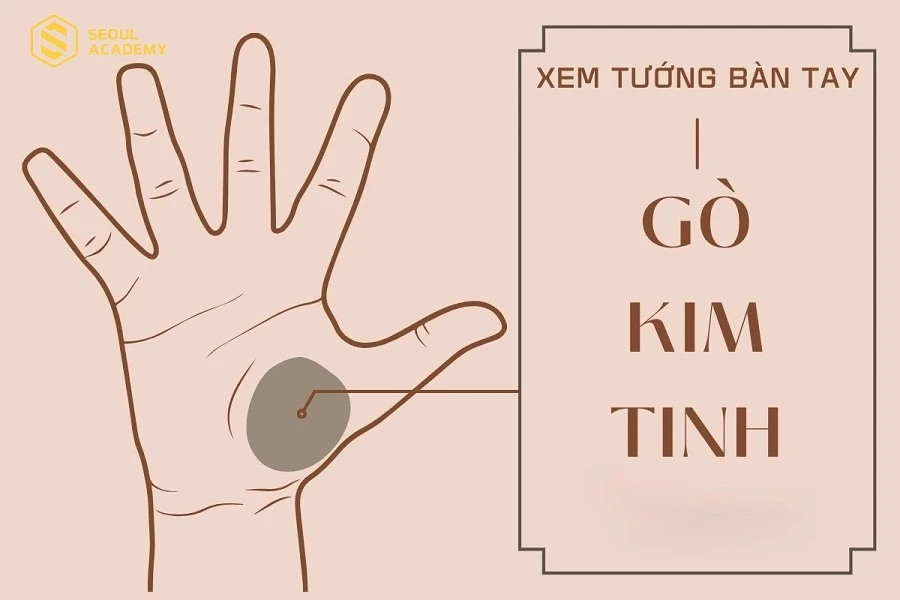 Nếu gò Kim Tinh bị bao phủ bởi các đường vân cho thấy chủ nhân là người hay lo nghĩ, dễ hao tổn tâm trí vì chuyện gia đình