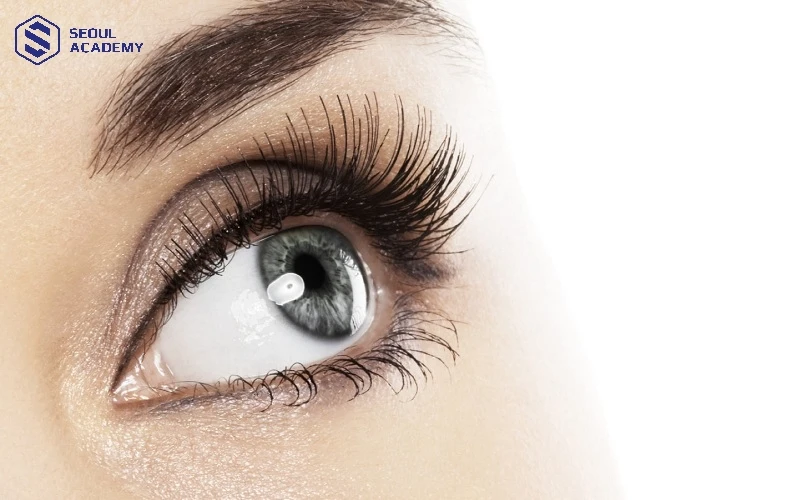 Nối mi chùm là kỹ thuật nối mi hiện đại sở hữu nhiều ưu điểm nổi bật