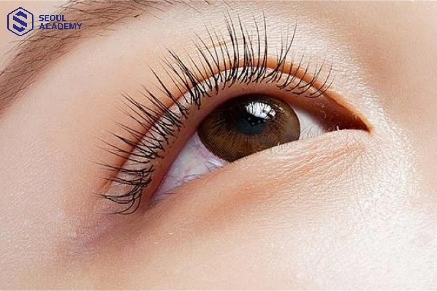 Kỹ thuật nối mi Sole Thái phù hợp với nhiều đối tượng khác nhau