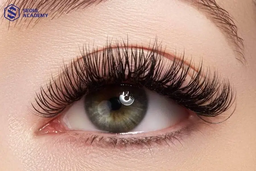 Nối mi thiên thần là kỹ thuật nối mi hiện đại kết hợp giữa mi Classic và Volume