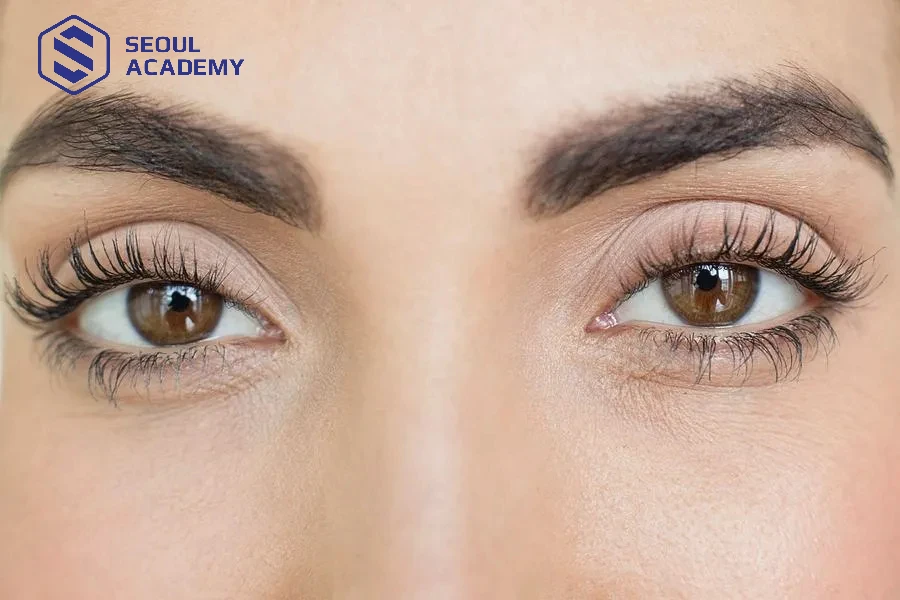 Form chuẩn, độ dày mi vừa phải chính là ưu điểm của mi cánh tiên