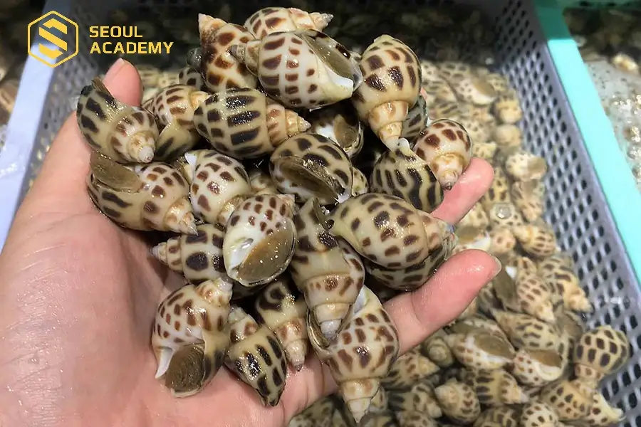 Chạm tay vào ốc để cảm nhận được ốc tươi hay không