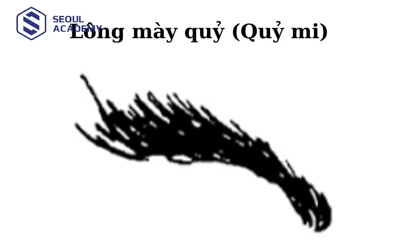 Lông mày quỷ