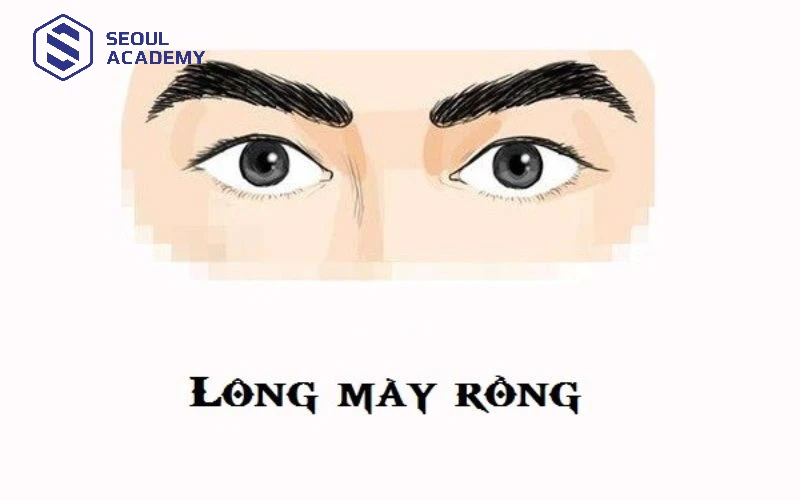 Lông mày rồng