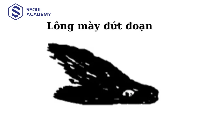 Lông mày đứt đoạn