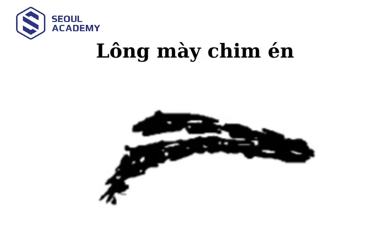Lông mày chim én