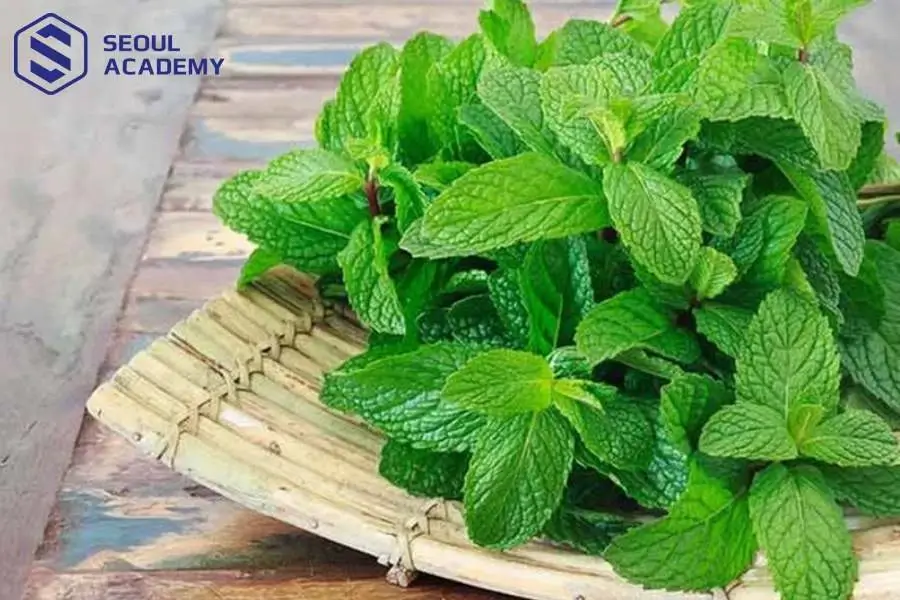Lá bạc hà giúp hạn chế tình trạng rụng tóc