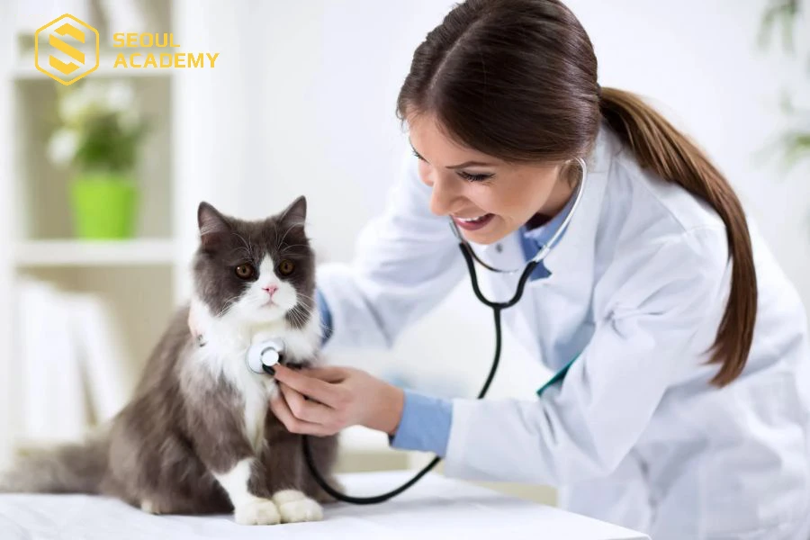 Bác sĩ thú y dành cho những ai yêu động vật