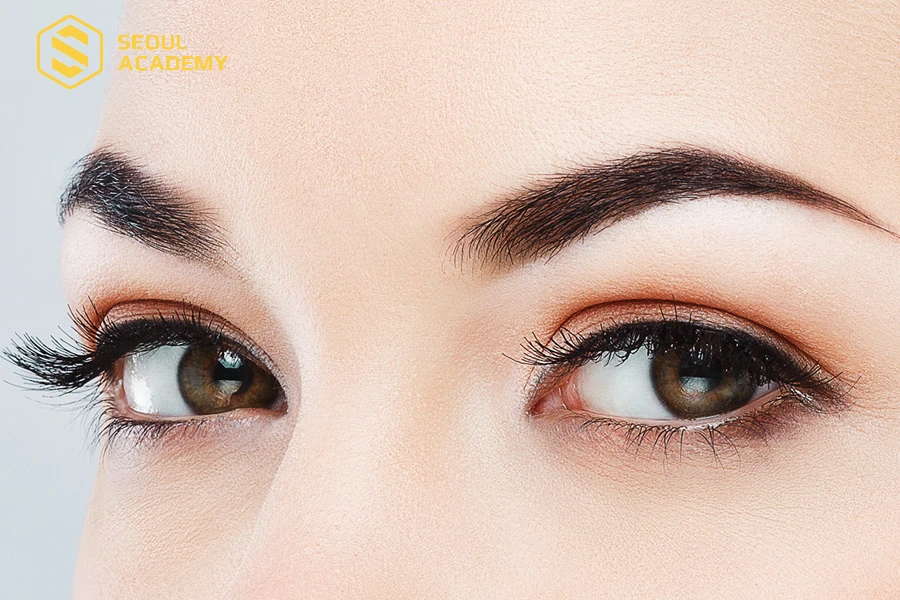 Dáng mày sâu róm có độ đậm giống hệt nhau từ đầu cho tới cuối chân mày