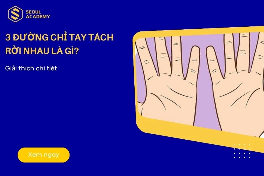 Xem tướng chỉ tay tách rời
