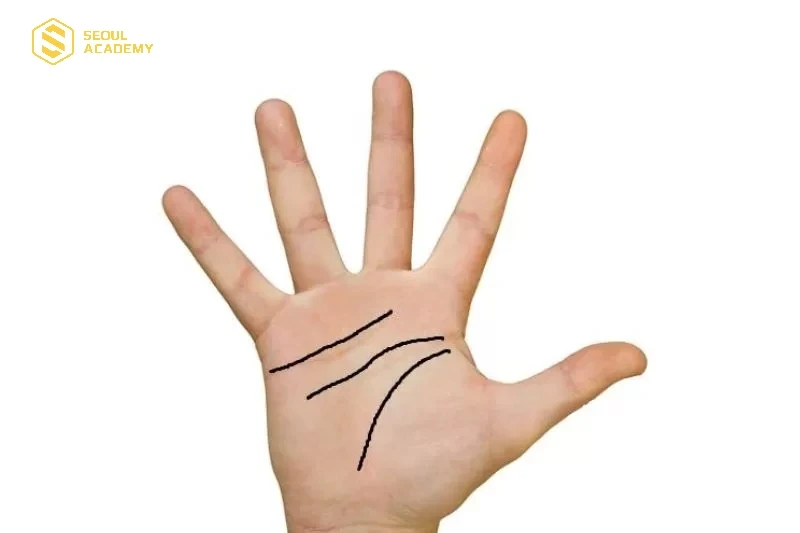 Đường chỉ tay tam xuyên có đặc điểm là 3 đường chính trong lòng bàn tay hoàn toàn tách biệt
