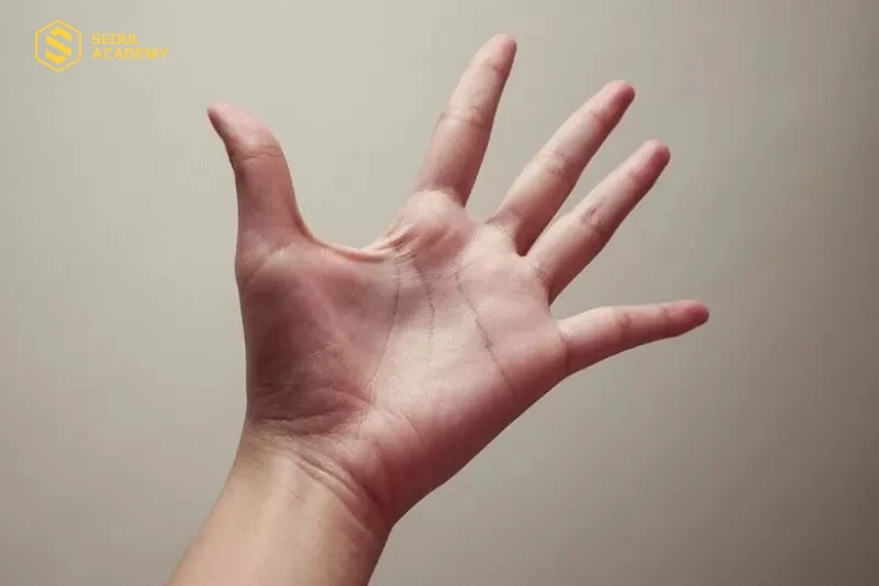 Trong nhân tướng học, đường chỉ tay hình chữ Xuyên được xem là khá hiếm gặp