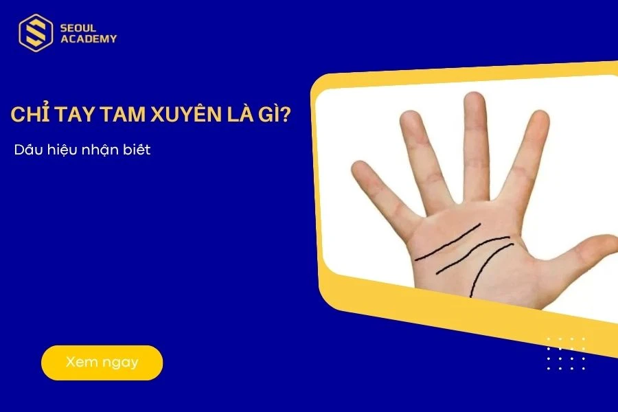 Đường chỉ tay Tam xuyên