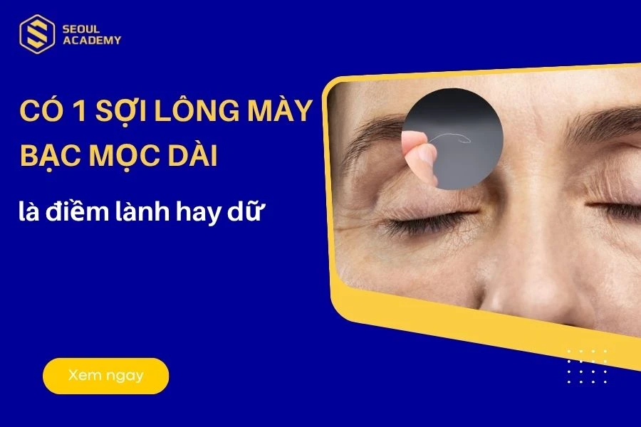 1 sợi lông mày bạc dài ở nam giới là dấu hiệu may mắn và thăng tiến