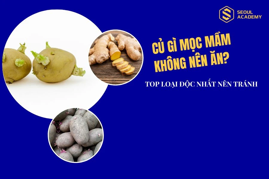 Củ gì mọc mầm không nên ăn?
