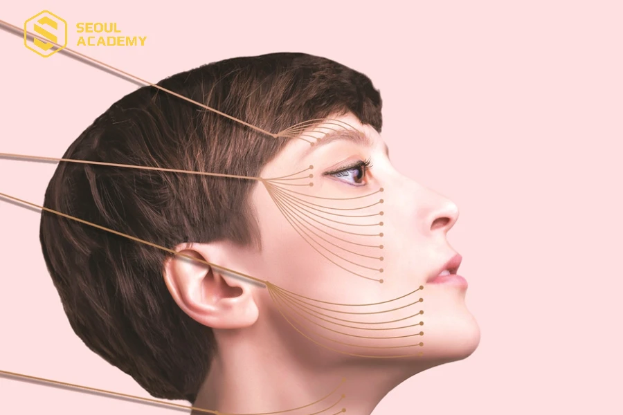 Học căng chỉ tại Viện Y khoa Hà Nội hướng dẫn bởi bác sĩ chuyên môn cao