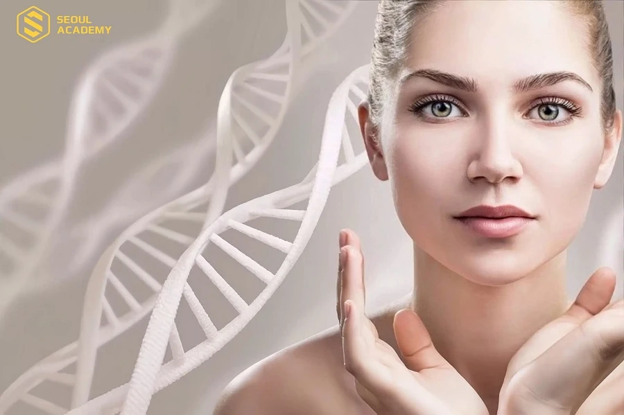 HIFU là công nghệ nâng cơ trẻ hóa hiện đại được nhiều người lựa chọn