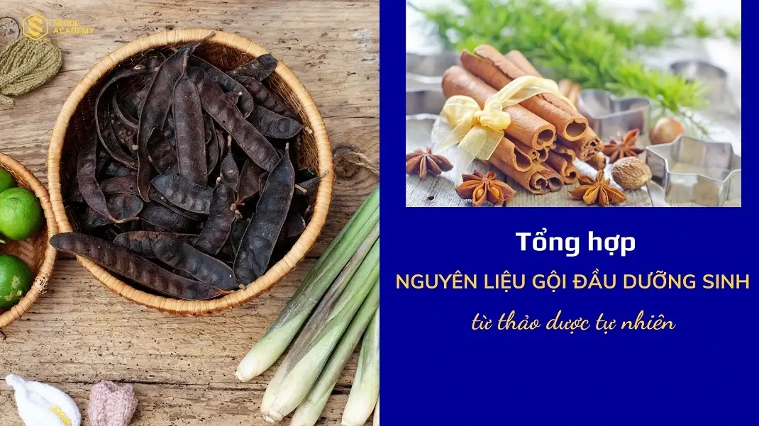 Tổng hợp nguyên liệu gội đầu dưỡng sinh từ thảo dược tự nhiên