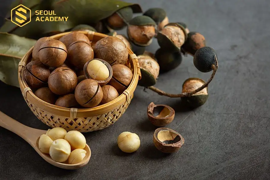 Một số loại hạt giàu vitamin E giúp môi lên màu chuẩn và tươi tắn